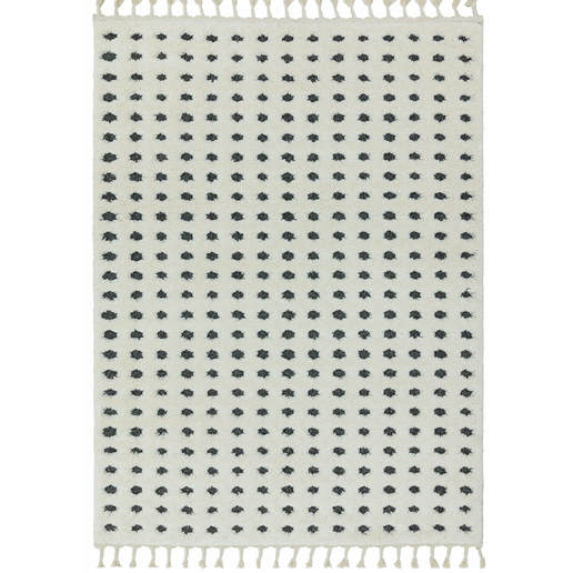 Asiatic Rugs Easy Living  Ariana Dotty Grey AR05