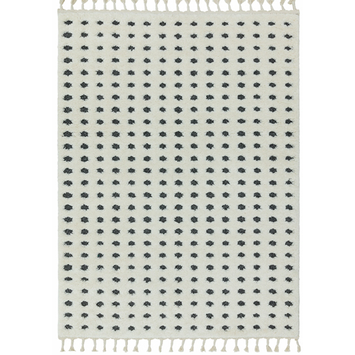 Asiatic Rugs Easy Living  Ariana Dotty Grey AR05