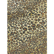 Asiatic Rugs Quantum QU01 Leopard