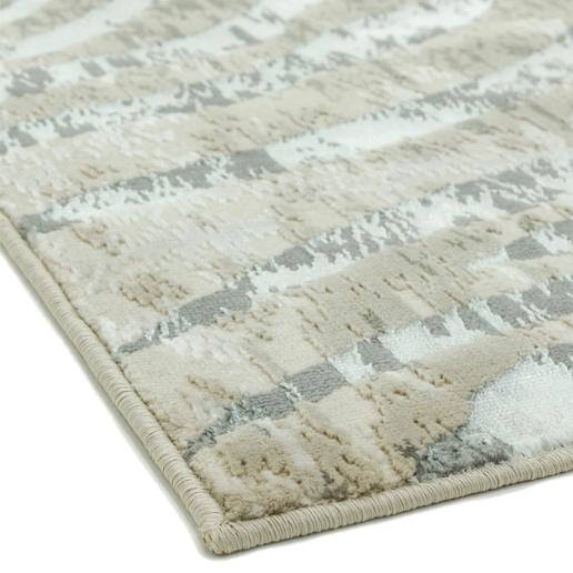 Asiatic Rugs Easy Living  Quantum QU04 Zebra 1