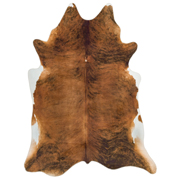 Asiatic Rugs Contemporary Home Texas Faux Cowhide Chestnut from Kings Interiors - the ideal place to buy Furniture and Flooring. Call Today - 01158258347.