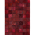 Asiatic Rugs Hides and Sheepskins Xylo Red Cross Stitch