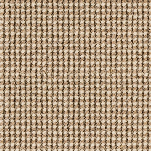 Best Wool Globe Carpet 191