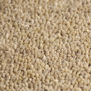 Brockways Carpets Lingdale Twist Leyburn