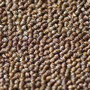 Stain Defender Loop Brown