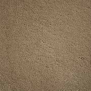 Stoddard Carpets Velluto Biscotti