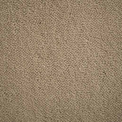 Stoddard Carpets Velluto Cafe au Lait