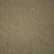 Stoddard Carpets Velluto Hint of Sage 