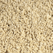 Victoria Carpets Lasting Impressions Ashwood