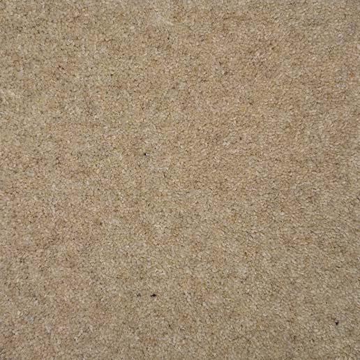 80% Wool 20% Nylon Twist Pile Carpet 40 oz Summer