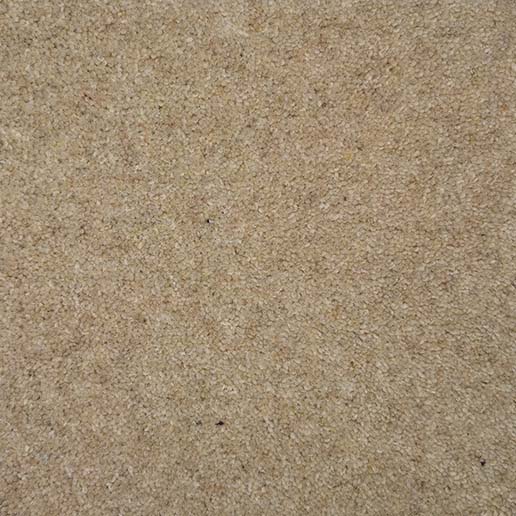 80% Wool 20% Nylon Twist Pile Carpet 40 oz Summer