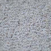 80% Wool 20% Nylon Twist Pile Carpet 50 oz Chapman BT08