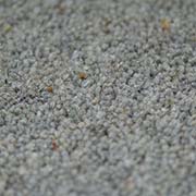 80% Wool 20% Nylon 50oz Twist Pile Carpet Millstone BT05