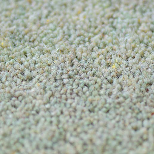 80% Wool 20% Nylon Wool 50oz Twist Pile Carpet Orchard BT09