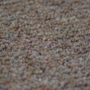 Victoria Carpets Burford Twist 50oz Whitney BT04