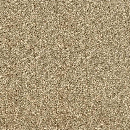 Abingdon Carpets Stainfree Aristocat Antique Gold