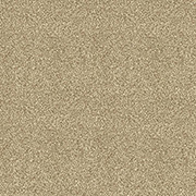 Abingdon Carpets Stainfree Maximus Biscotti