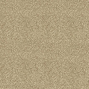 Abingdon Carpets Stainfree Maximus Biscotti