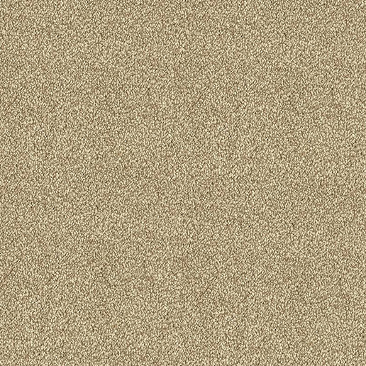 Abingdon Carpets Stainfree Maximus Biscotti