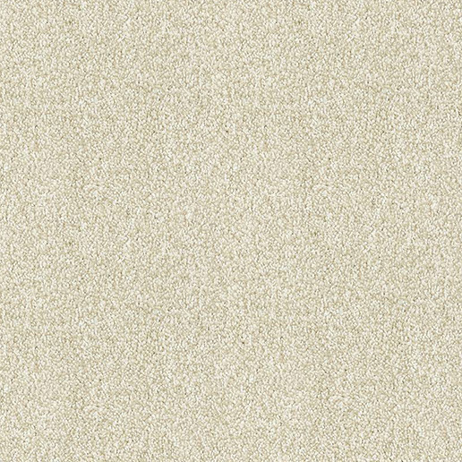 Abingdon Carpets Stainfree Maximus Chantilly