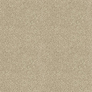 Abingdon Carpets Stainfree Maximus Moccasin