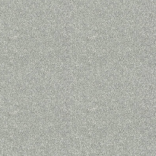Abingdon Carpets Stainfree Maximus Platinum