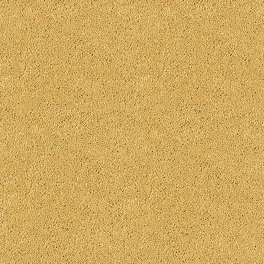 Abingdon Carpets Stainfree Sophisticat Gold