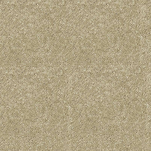 Abingdon Carpets Stainfree Sophisticat Latte