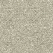 Abingdon Carpets Stainfree Sophisticat Mink