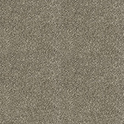 Abingdon Carpets Stainfree Sophisticat Mocha