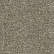 Abingdon Carpets Stainfree Sophisticat Mocha