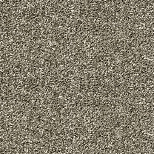 Abingdon Carpets Stainfree Sophisticat Mocha