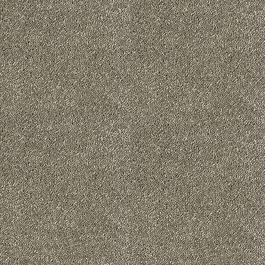 Abingdon Carpets Stainfree Sophisticat Mocha