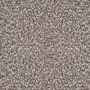 Abingdon Carpets Stainfree Style Latte