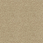 Abingdon Carpets Stainfree Twist Biscotti