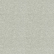 Abingdon Carpets Stainfree Twist Ice Dance