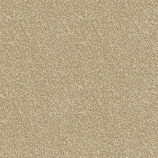 Abingdon Carpets Stainfree Twist Latte