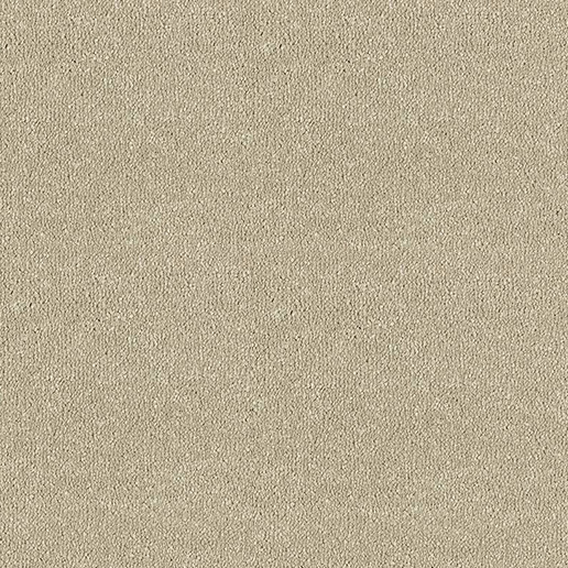 Abingdon Carpets Stainfree Twist Moccasin