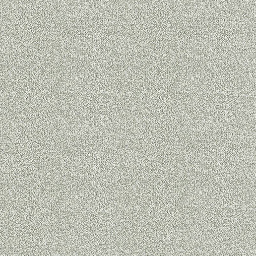 Abingdon Carpets Stainfree Twist Soft Shadow