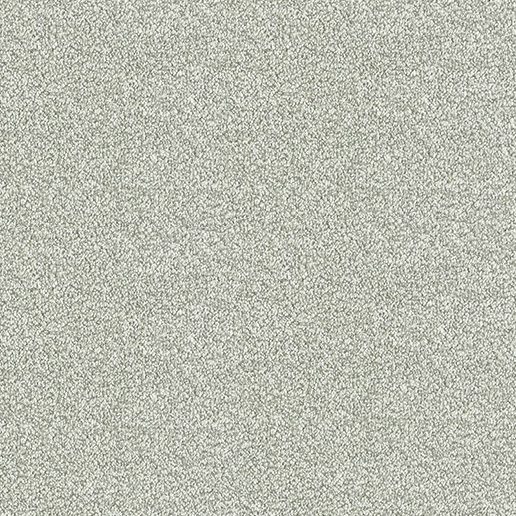 Abingdon Carpets Stainfree Twist Soft Shadow