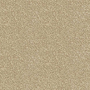 Abingdon Carpets Stainfree Ultra Latte