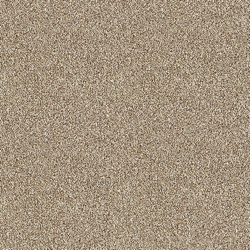 Abingdon Carpets Stainfree Rustique Deluxe Rustic Charm