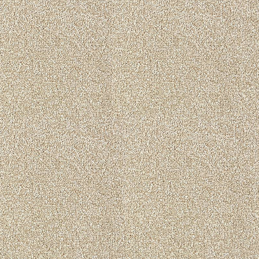 Abingdon Carpets Stainfree Rustique Deluxe Urban Chic