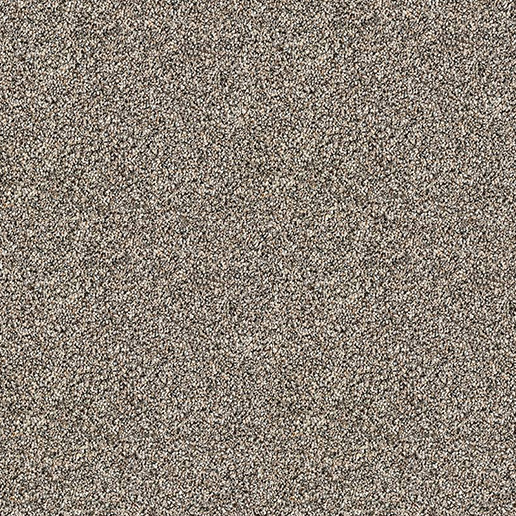 Abingdon Carpets Stainfree Rustique Deluxe Walnut