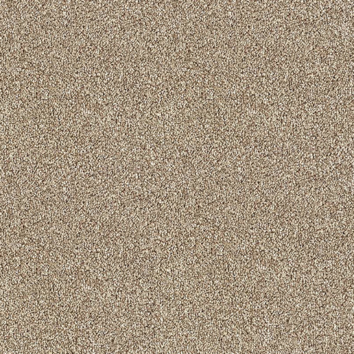 Abingdon Carpets Stainfree Rustique Rustic Charm