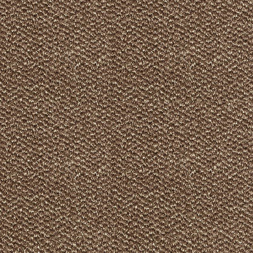 Abingdon Carpets Stainfree Tweed Espresso