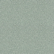 Abingdon Carpets Stainfree Tweed Spearmint