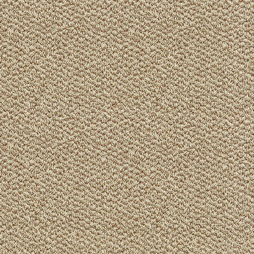 Abingdon Carpets Stainfree Tweed Taupe