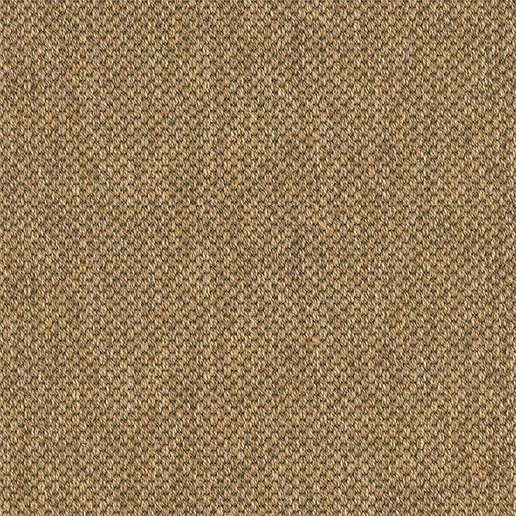 Alternative Flooring Anywhere Panama Carpet 8027