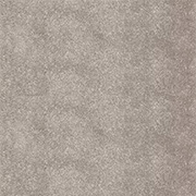 Alternative Flooring Plush Velvet Agate Carpet 8200